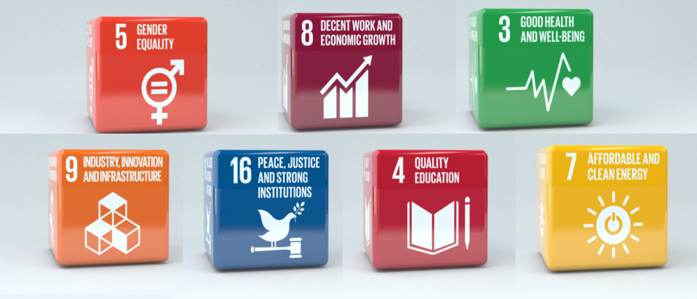 UN Goals Bannière .png